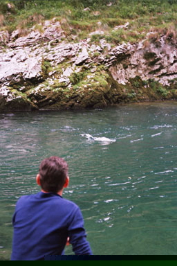 truchas en asturias,pesca truchas,asturias mosca,pesca a mosca pesca mosca